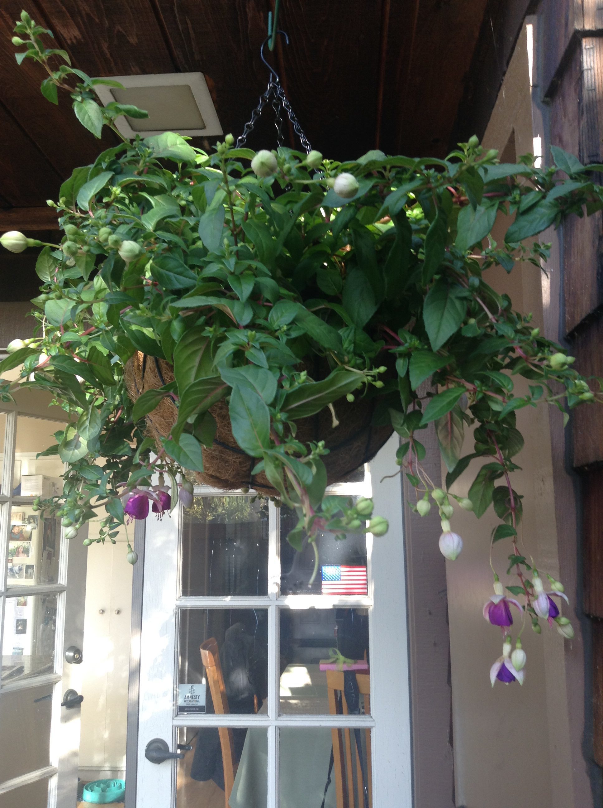 Grieving with Flowers Thinking About...