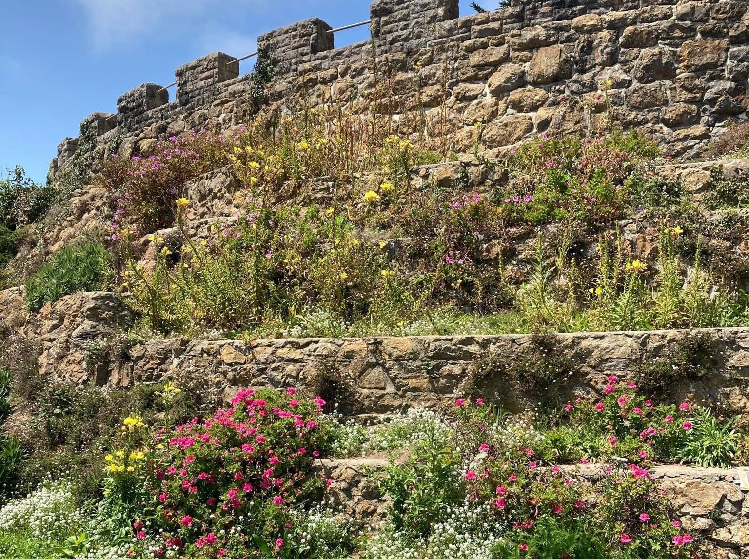 Miscellaneous Monday | Thinking About... Avatar